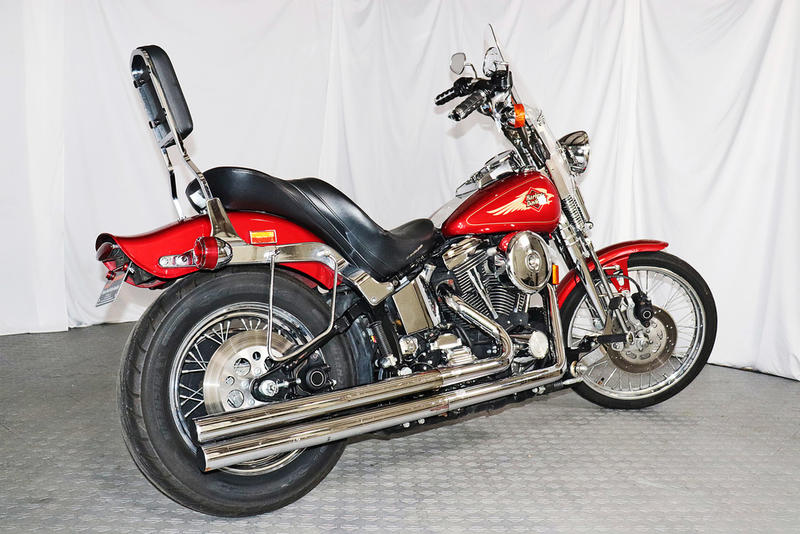 springer red chief